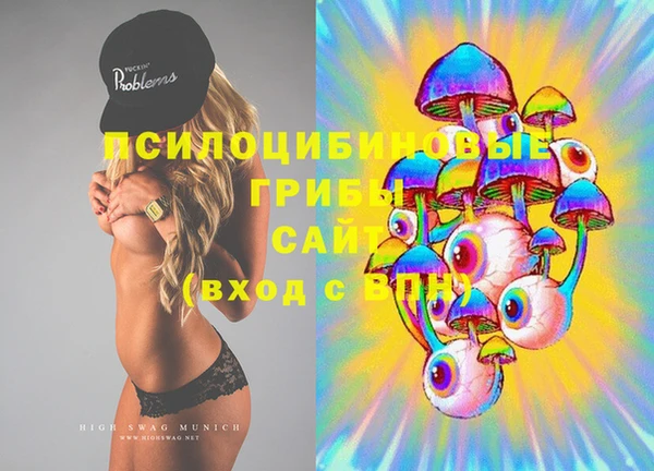PSILOCYBIN Аркадак