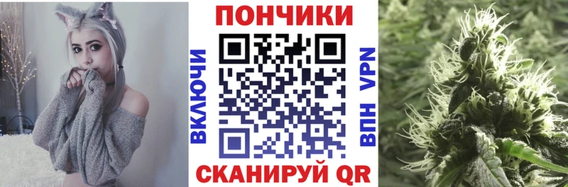 Бошки Шишки ГИДРОПОН  продажа наркотиков  МЕГА tor  Ликино-Дулёво 